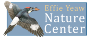 Effie Yeaw Nature Center