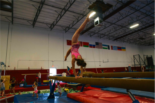 International gymnastics centre activity