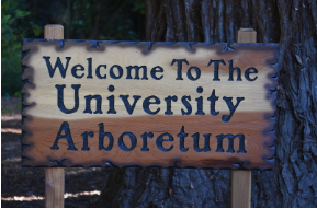 scu arboretum logo