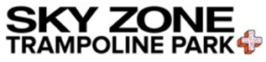 sky zone logo