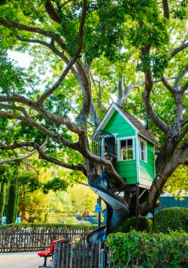 fairytale town tree house
