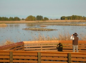 sacramento national wildlife refuge