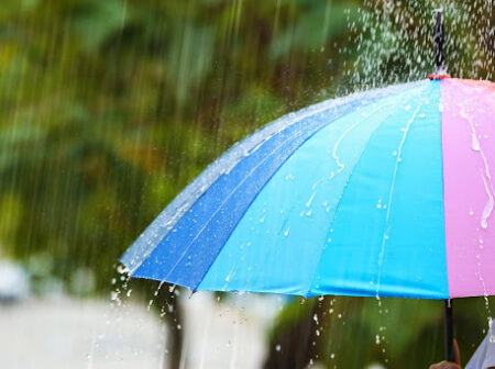 Best Indoor Activities for Rainy Days in Rohnert Park